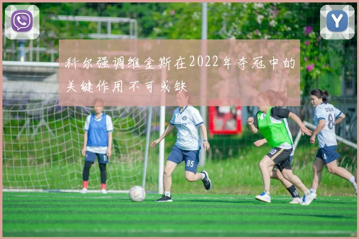 科尔强调维金斯在2022年夺冠中的关键作用不可或缺