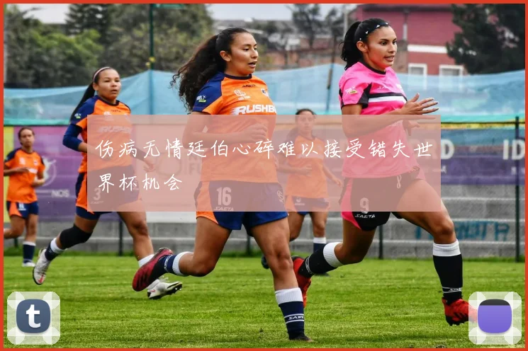 伤病无情廷伯心碎难以接受错失世界杯机会
